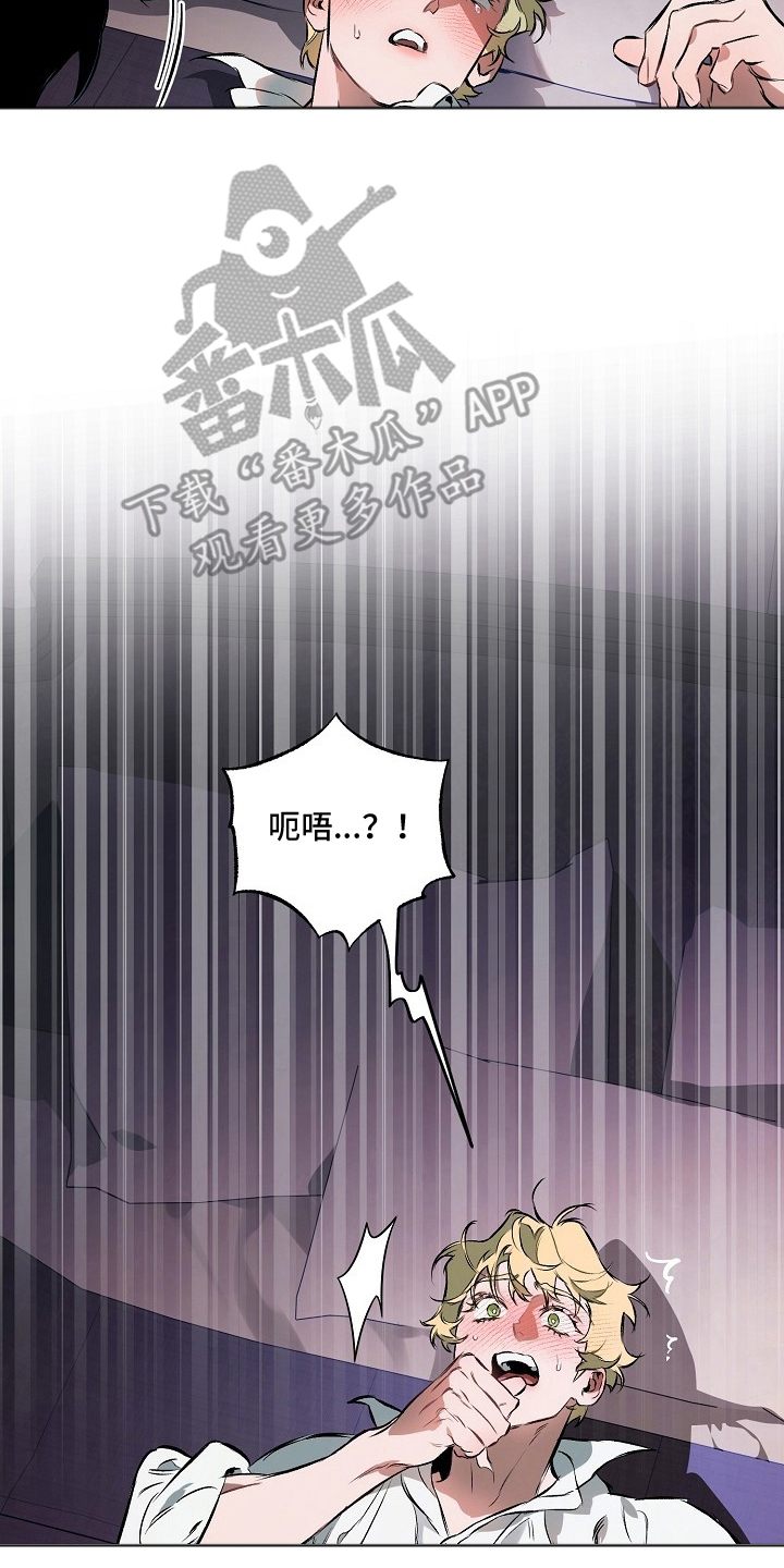 纯白英短漫画,第12章：一个月5图