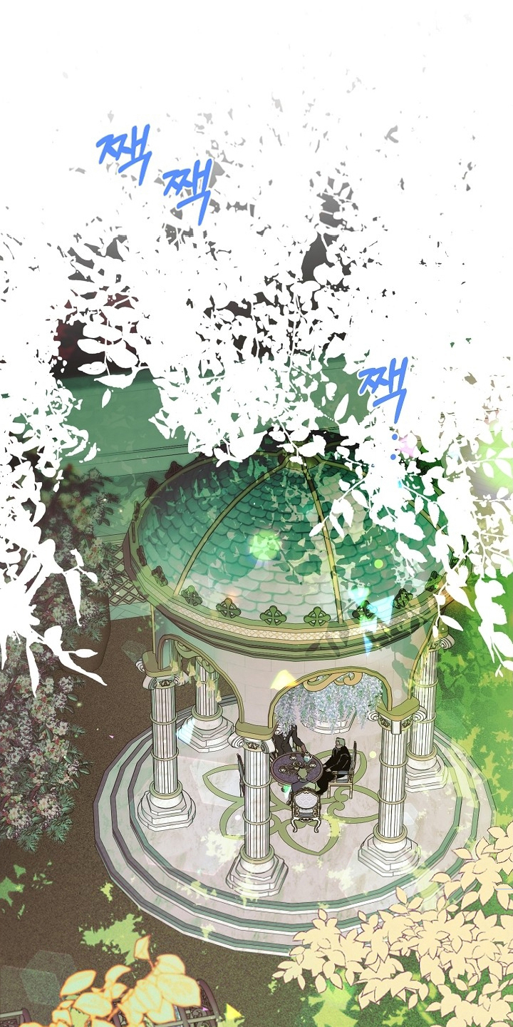 纯白英短漫画,第18章：变的奇怪2图