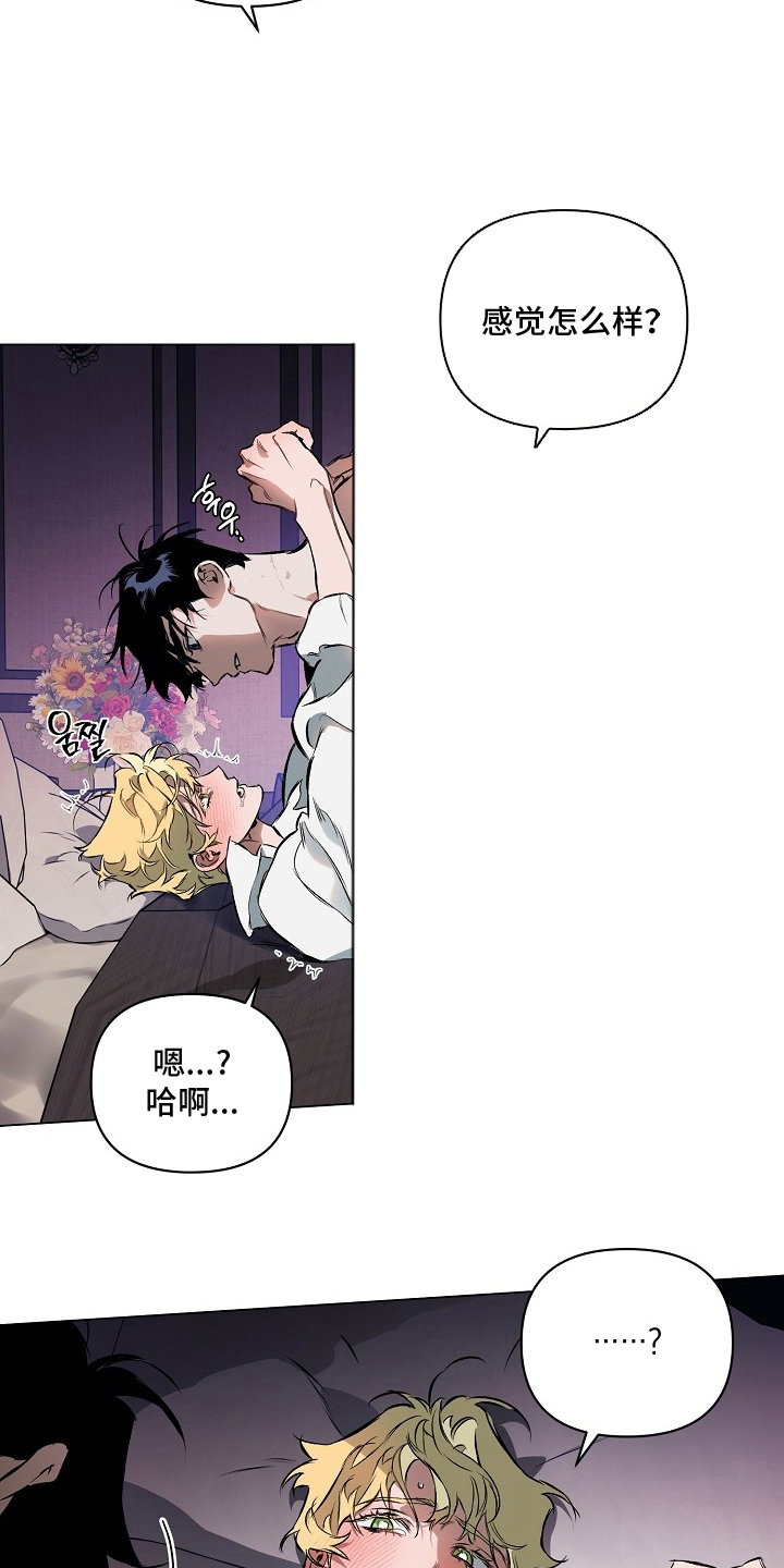 纯白英短漫画,第12章：一个月4图