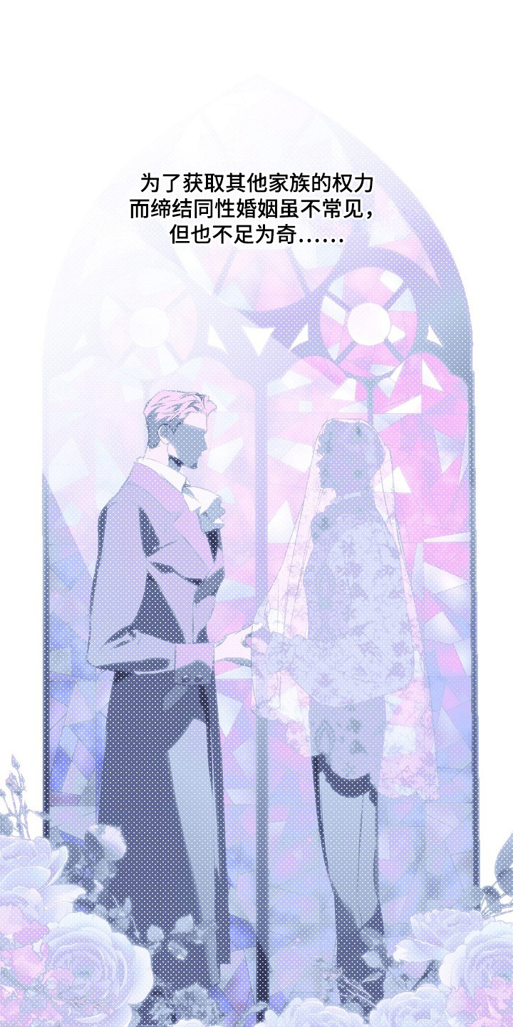 纯白献身漫画,第1章：婚约1图