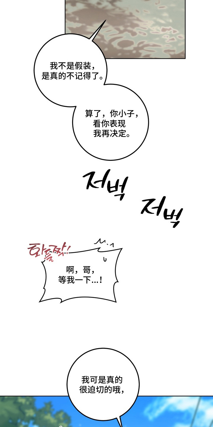 再次向你求婚漫画,第16章：不反悔（完结）4图