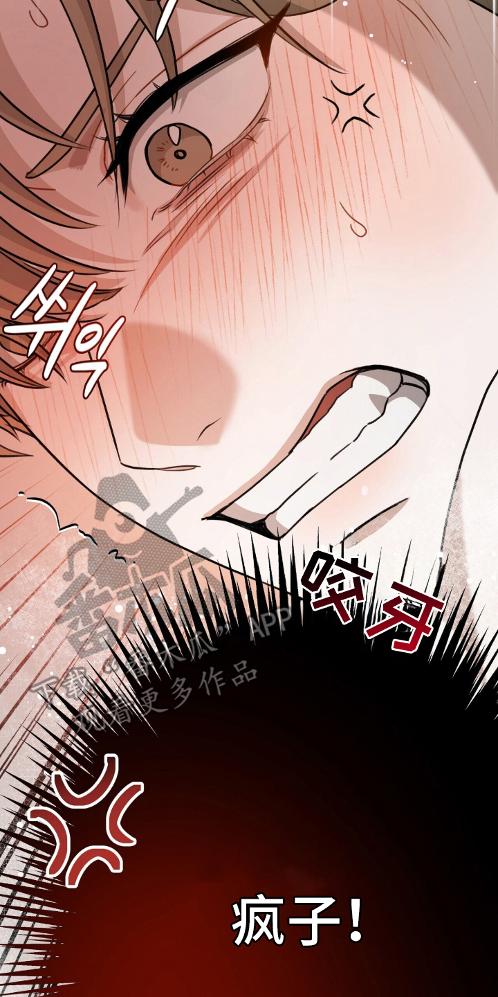 片场丝带儿漫画,第14章：震惊5图