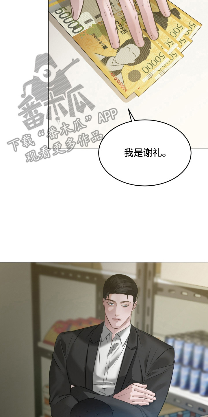 忠诚的背面漫画,第8章：查监控2图