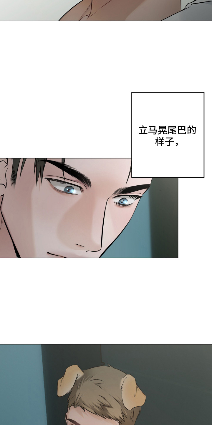忠诚的背面漫画,第4章：保密4图