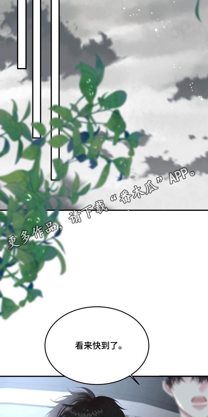 欧米伽的意思网络用语漫画,第3章：小心那张脸4图