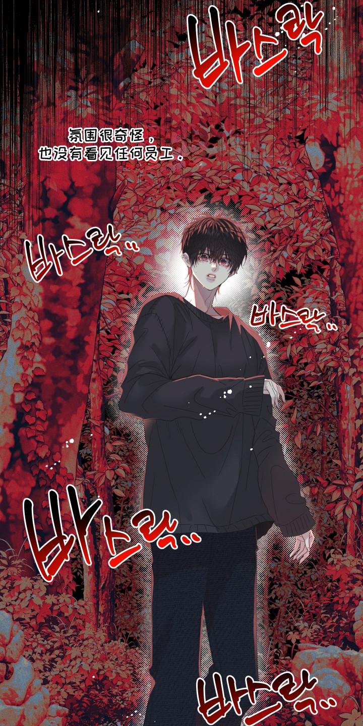 欧米伽3有哪些食物漫画,第5章：规则3图