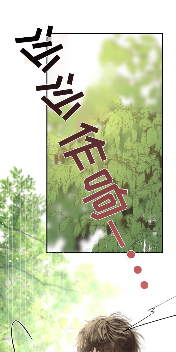 欧米伽3有哪些食物漫画,第5章：规则5图