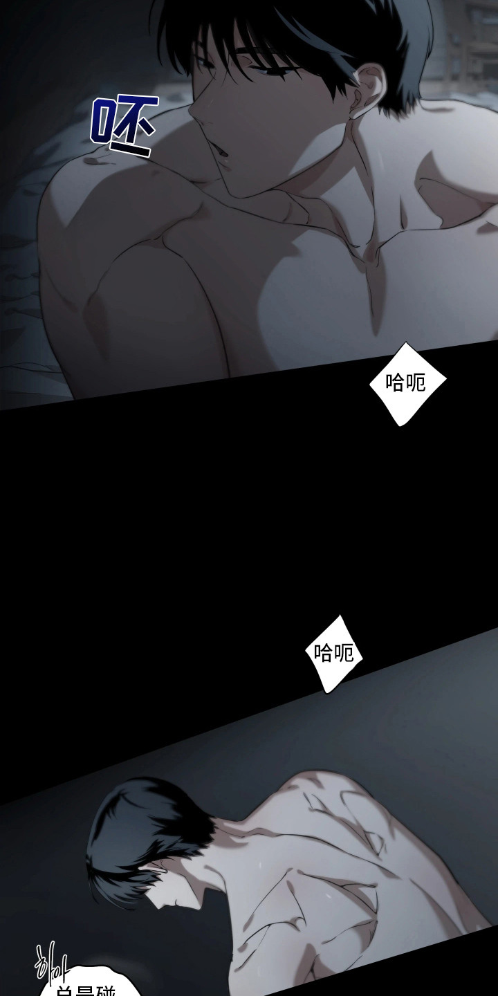 夜蛾有害吗漫画,第11章：消消气4图