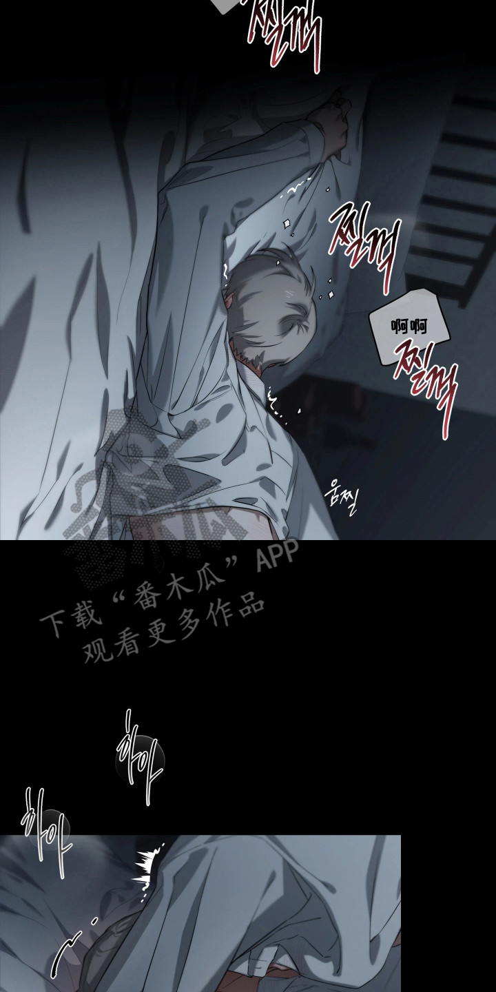 夜蛾有害吗漫画,第11章：消消气2图