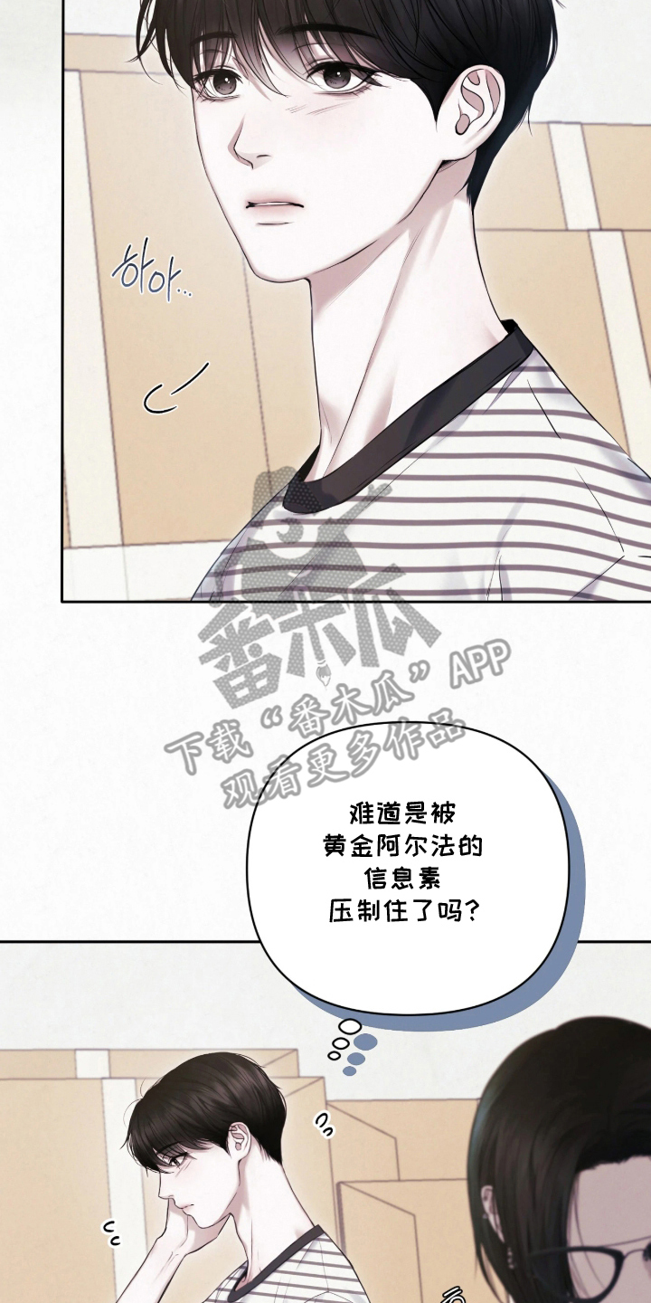 黄金阿尔法漫画,第4章：跟我来1图