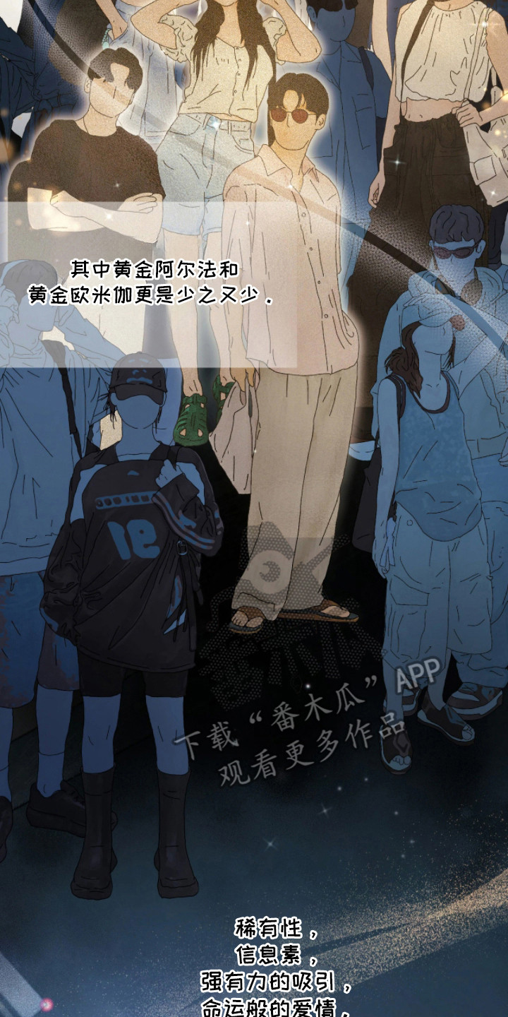 黄金阿尔法漫画,第1章：差异3图
