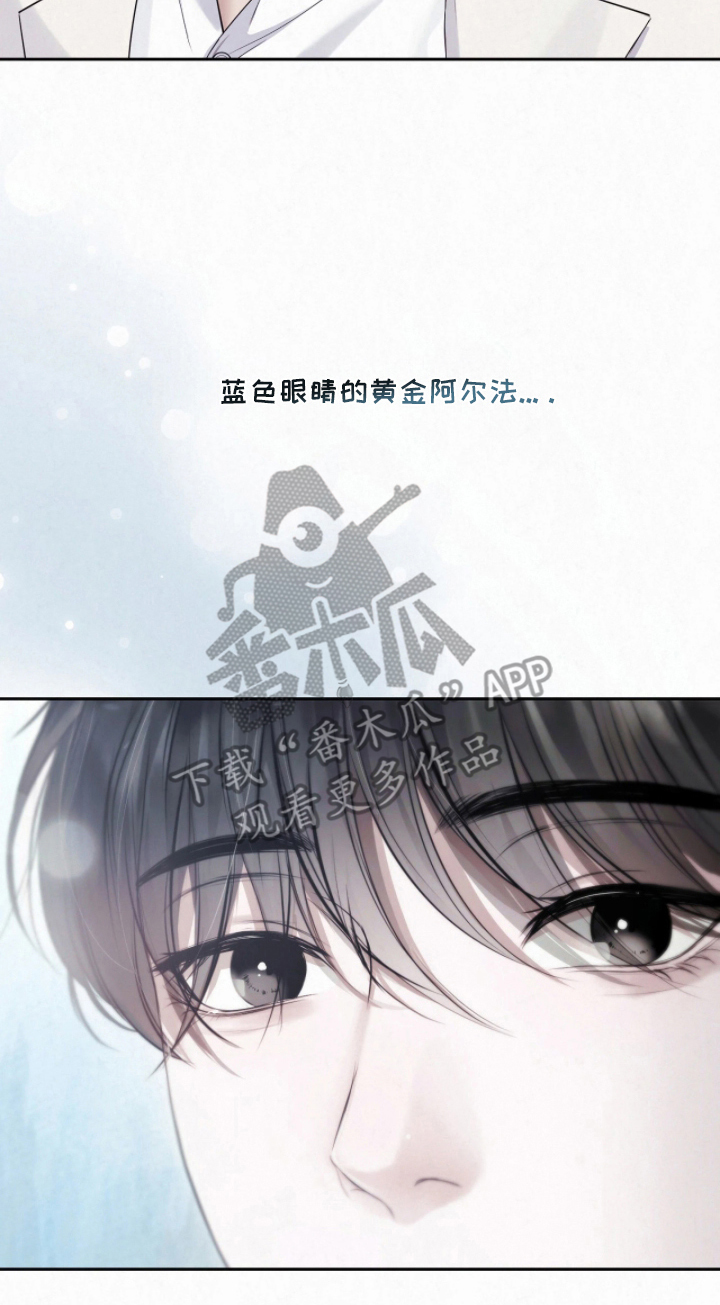 黄金阿尔法漫画,第10章：想知道你的名字1图