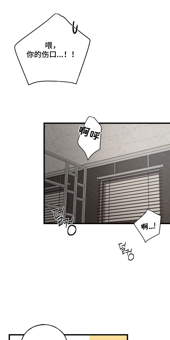 第16章：喜欢你（完结）2