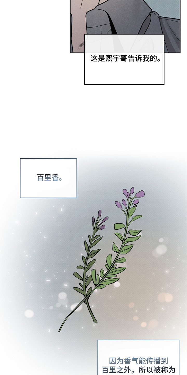 优性引力二哥角色漫画,第15章：信息素沐浴3图