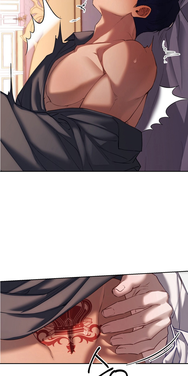 帝师囚笼漫画免费阅读漫画,第11章：礼物1图