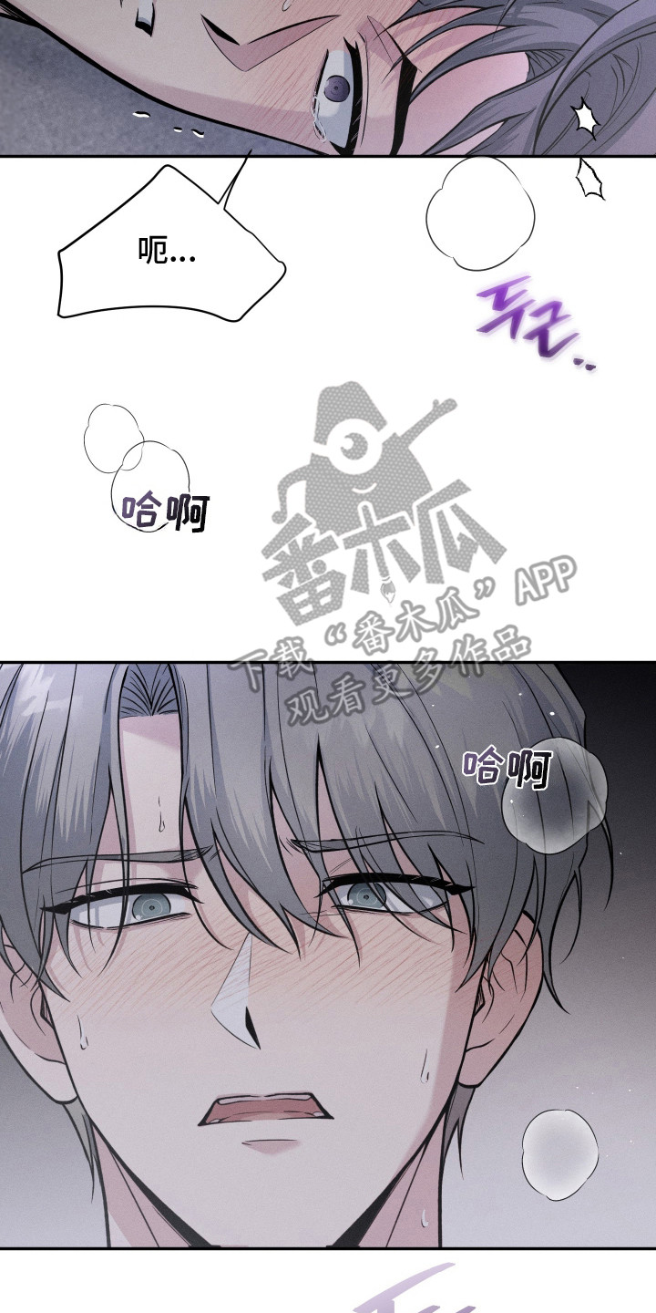 心动过敏原漫画,第11章：更进一步（完结）3图