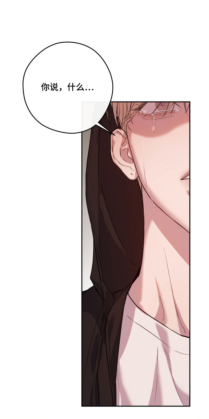 避风塘炒蟹漫画,第20章：很相似2图