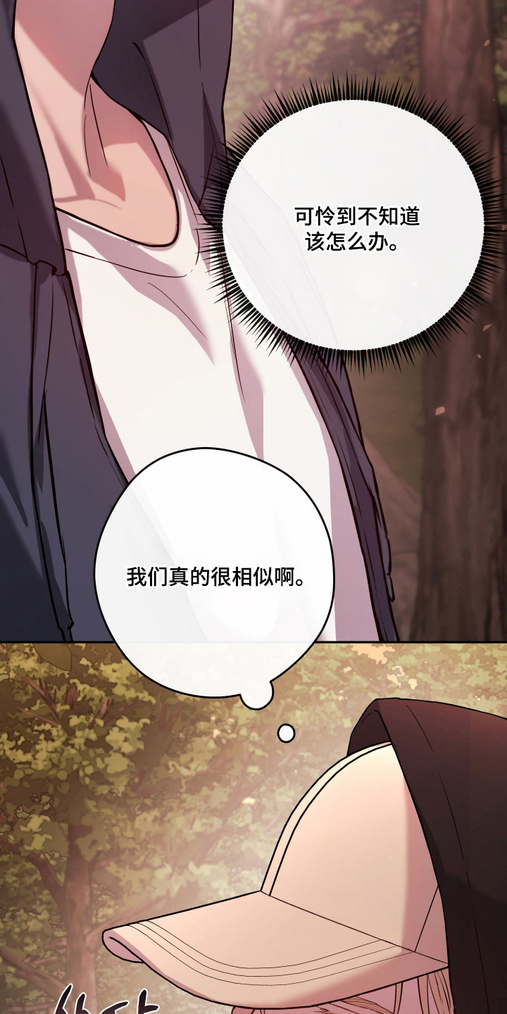 避风塘炒蟹漫画,第20章：很相似4图