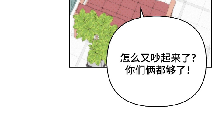 主厨的荣耀食谱漫画,第5章：需要我3图