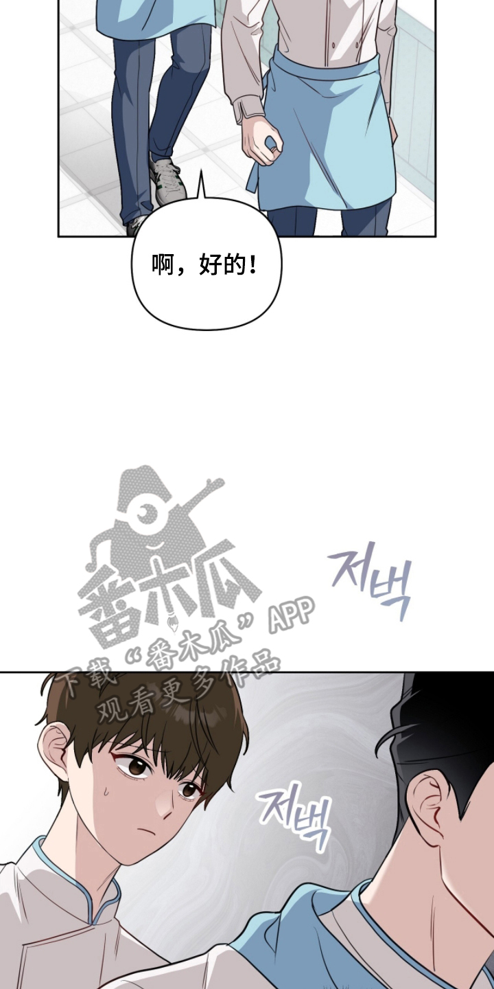 主厨的荣耀食谱漫画,第3章：不能被发现3图