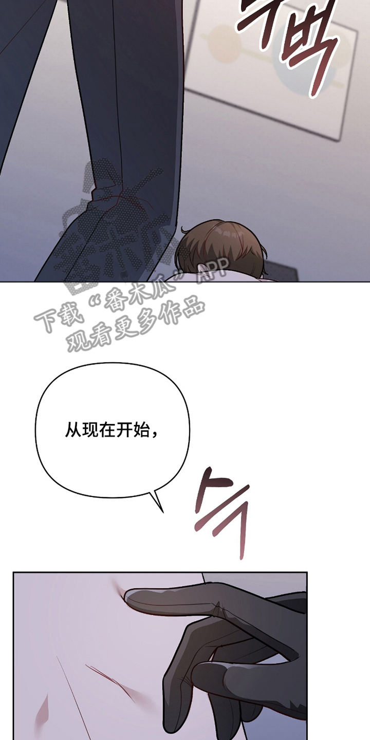 主厨的食谱漫画,第20章：准备3图