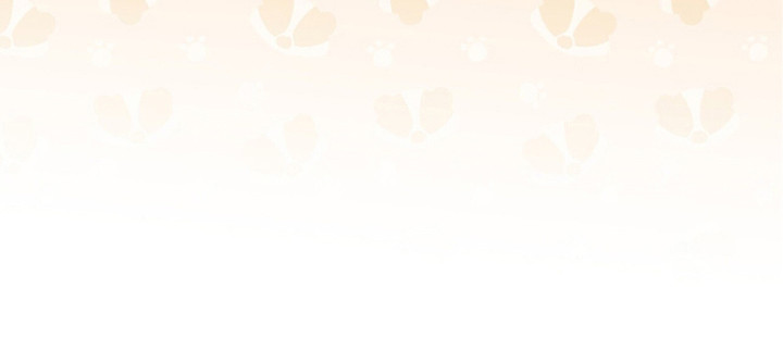 金岩乡砻石溪风雨桥最新消息漫画,第19章：暂住3图