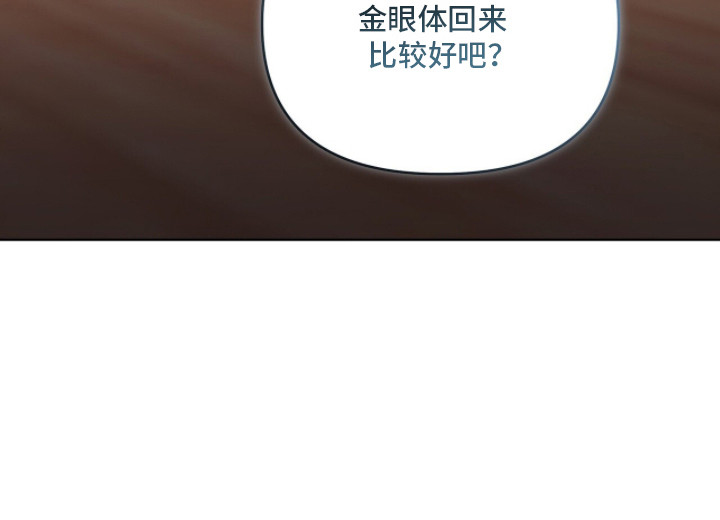 金眼陷阱漫画,第6章：追查4图