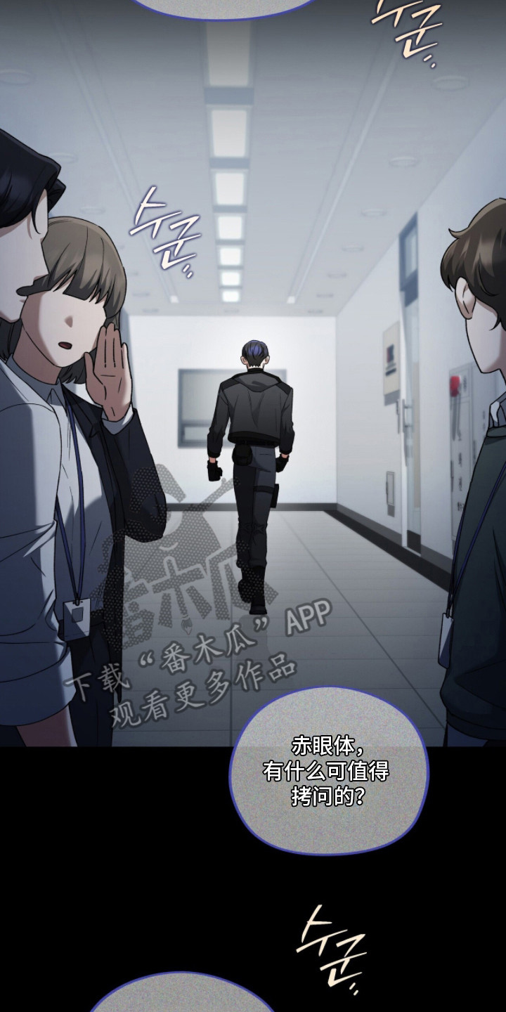 金眼陷阱漫画,第6章：追查2图