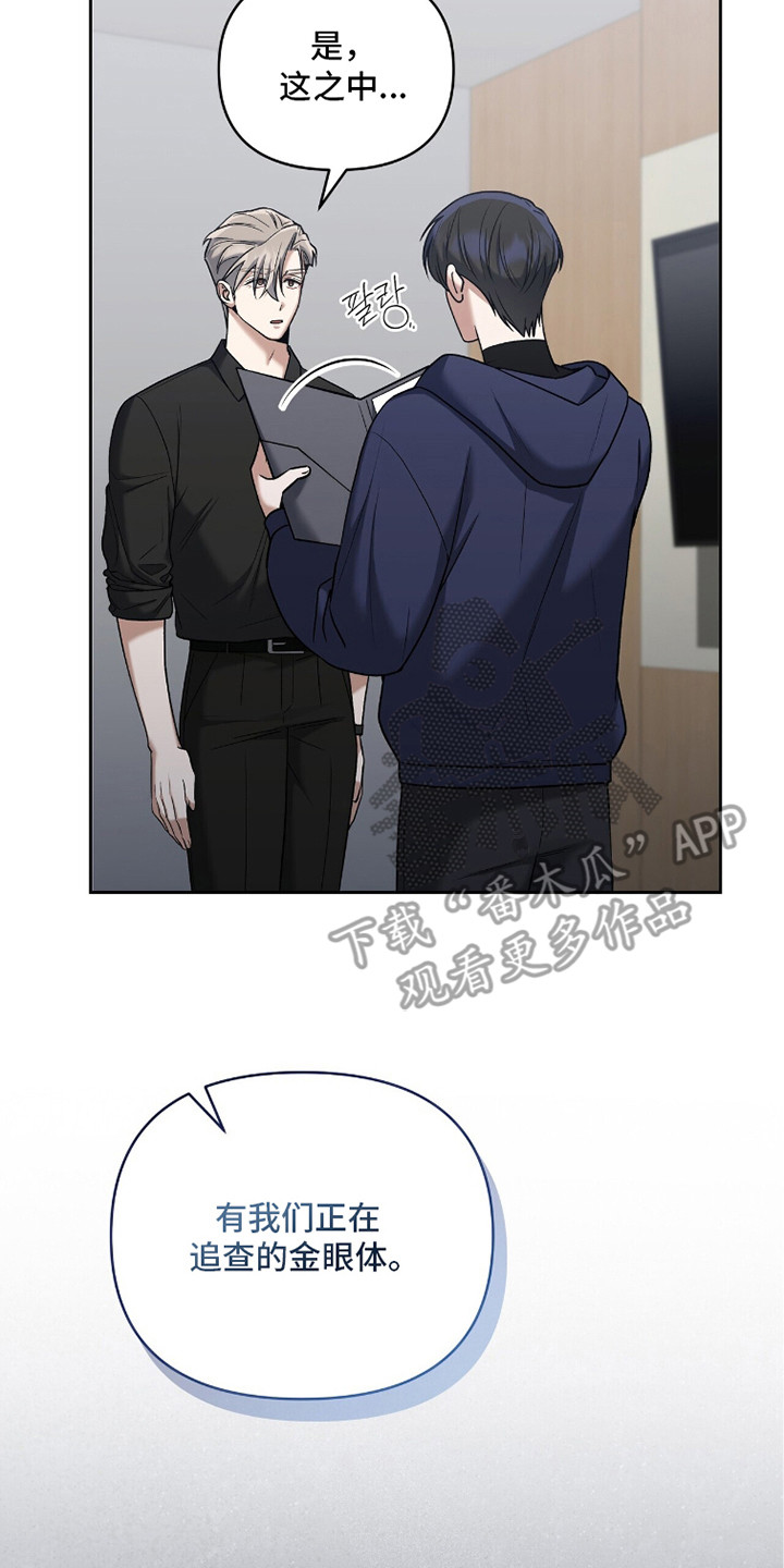 金眼陷阱漫画,第17章：调查报告2图