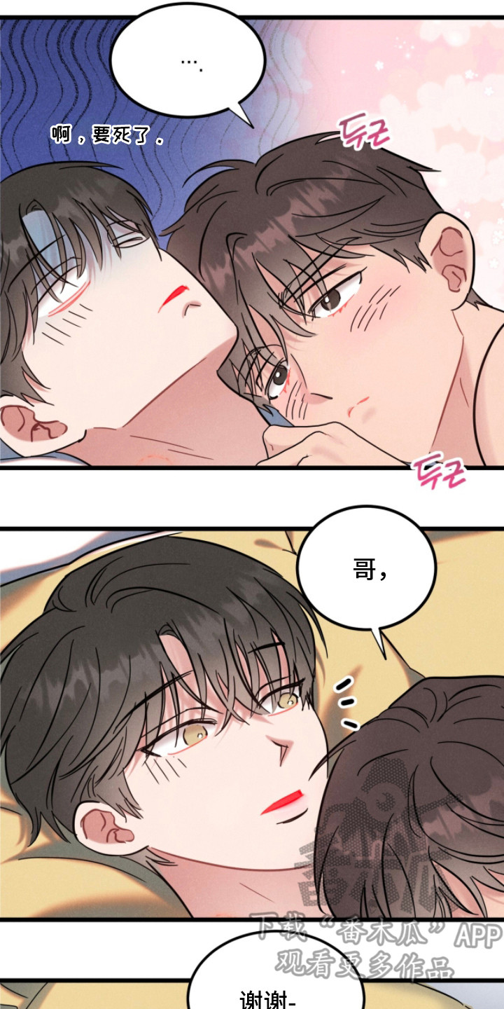 炽热经纪人漫画,第16章：热烈爱着（完结）2图