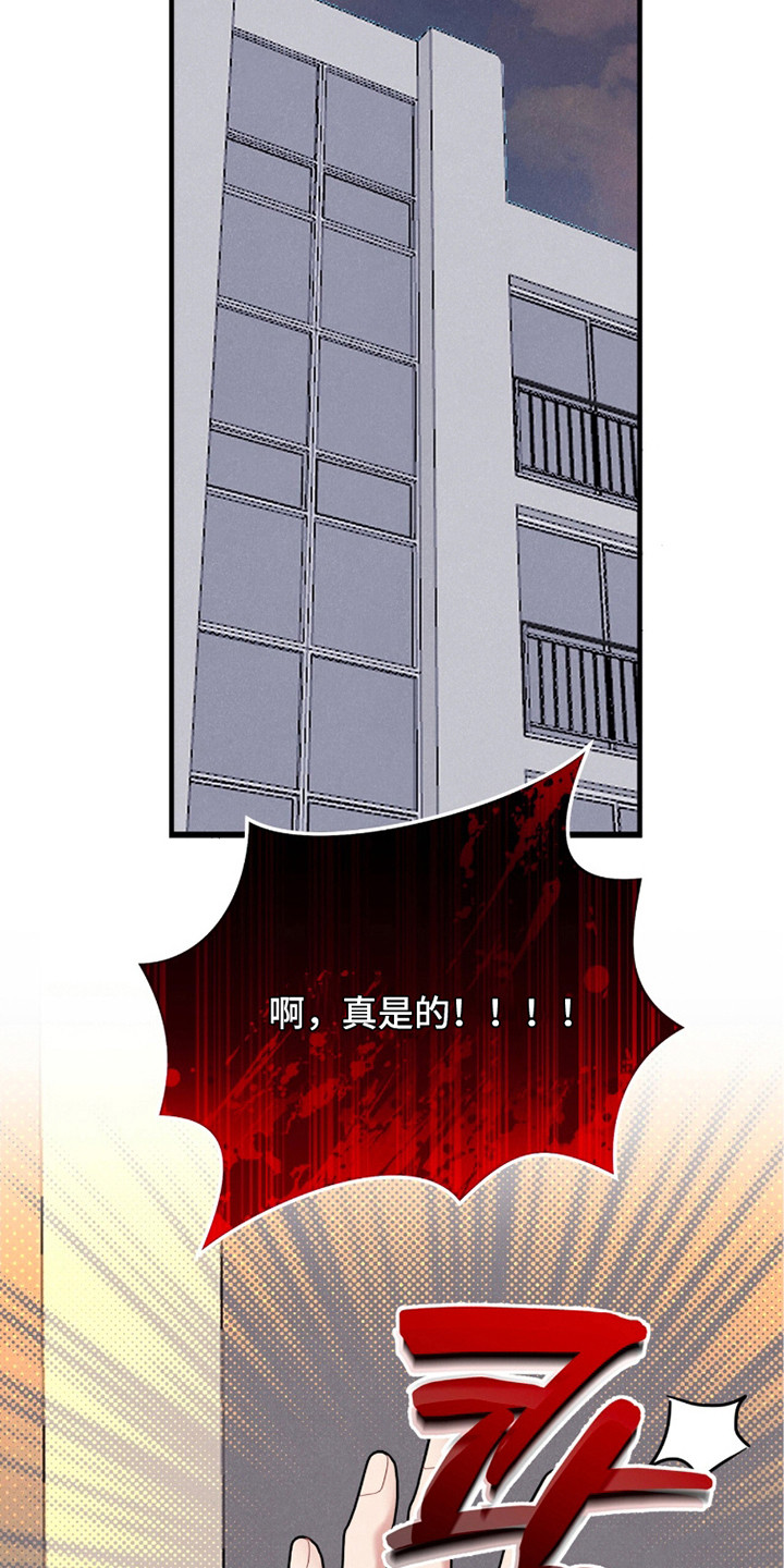 炽热经纪人漫画,第13章：表白1图