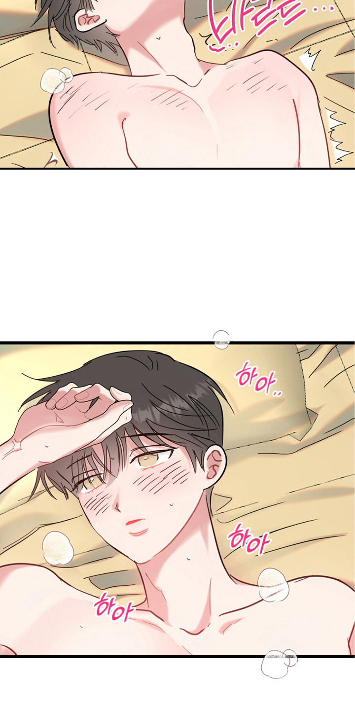 炽热经纪人漫画,第14章：等不了4图