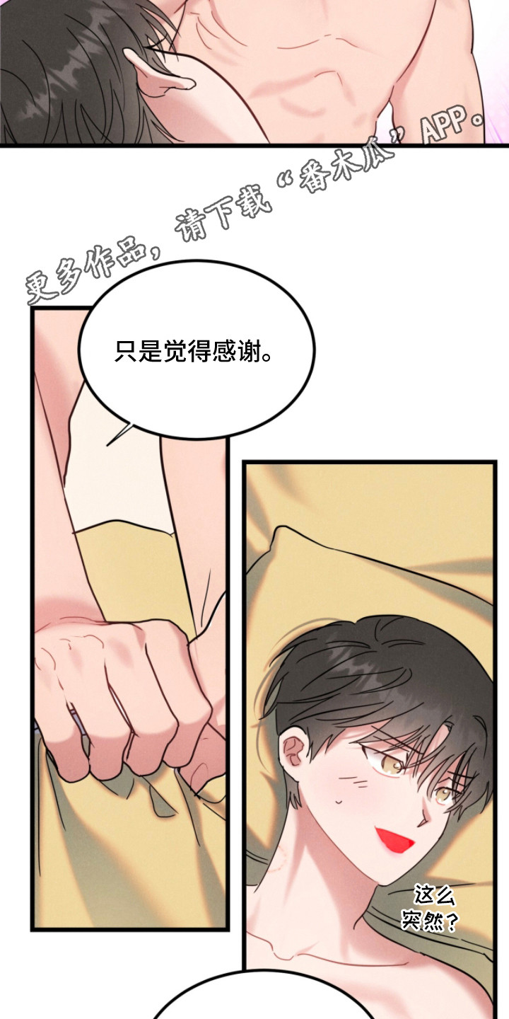 炽热经纪人漫画,第16章：热烈爱着（完结）5图