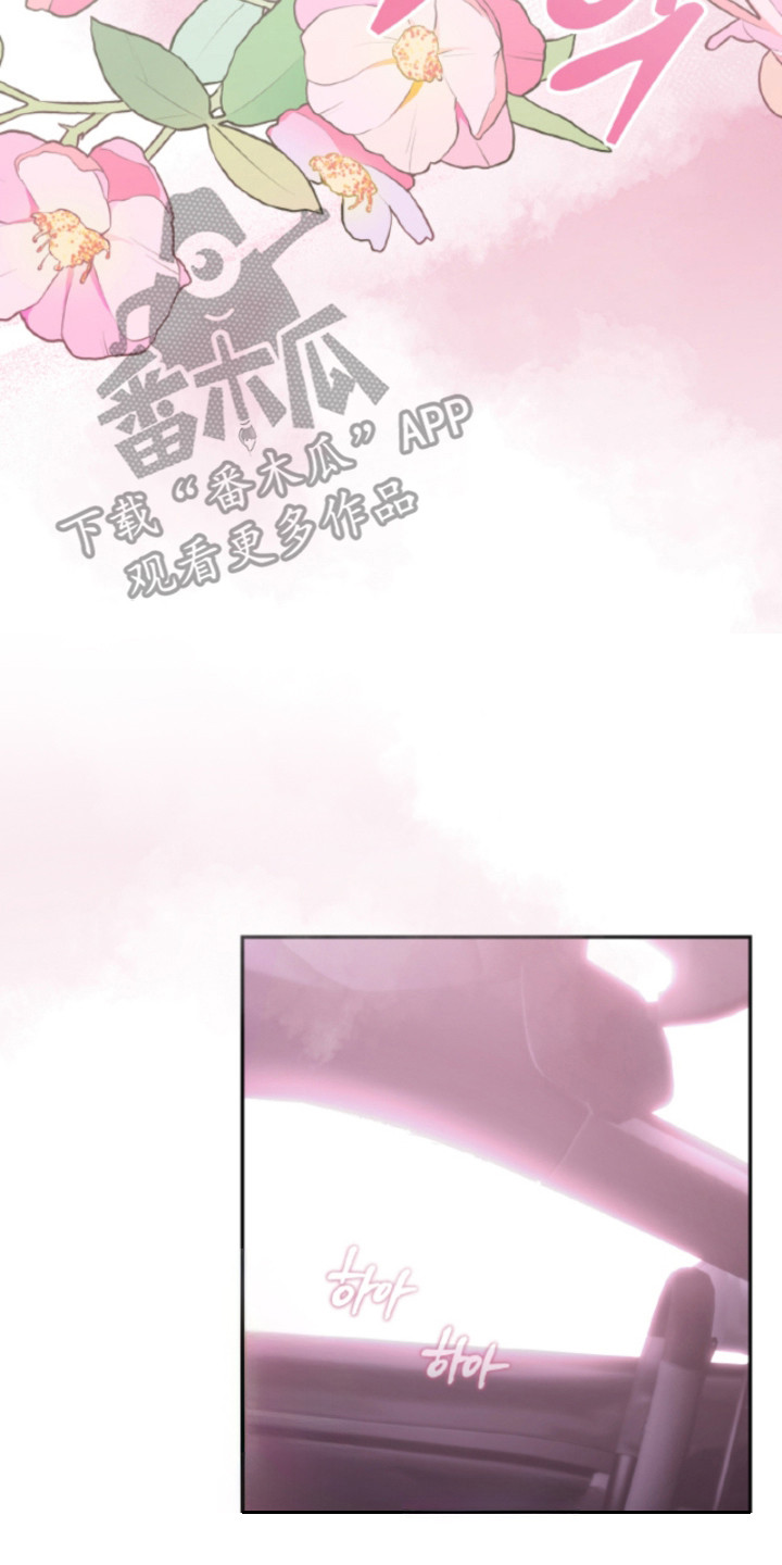 风险回报曲线漫画,第5章：信息素1图