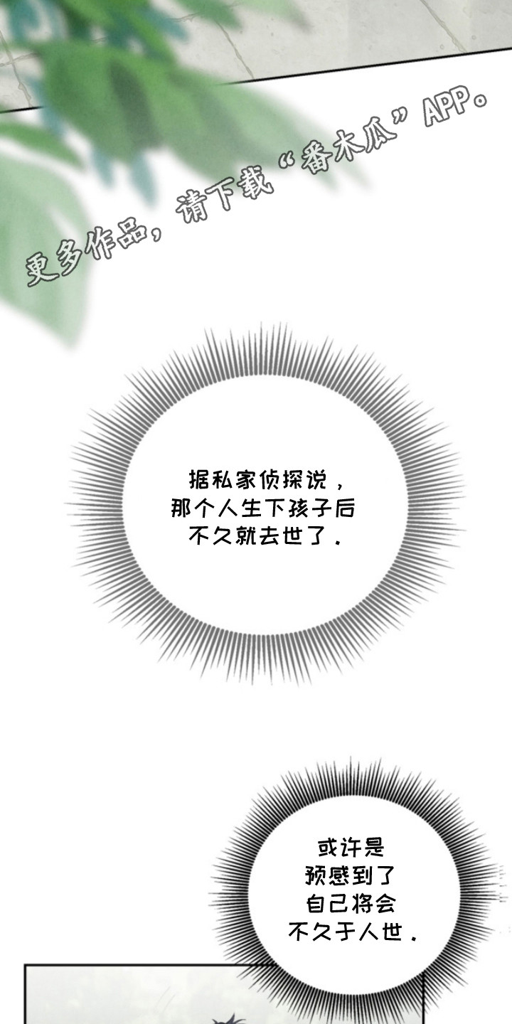 风险回报漫画,第12章：亲生母亲4图