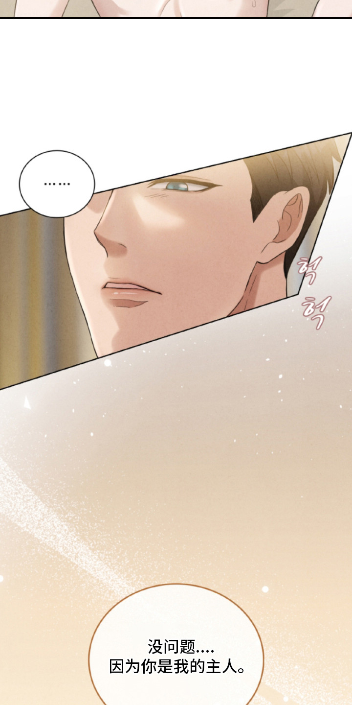 风险回报漫画,第16章：我的主人2图