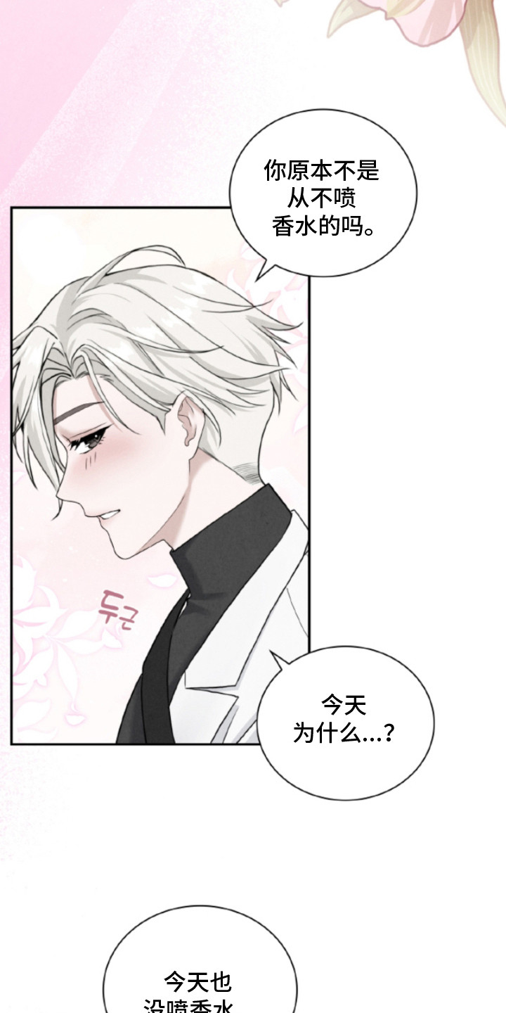 风险回报漫画在线阅读漫画,第4章：香水味5图