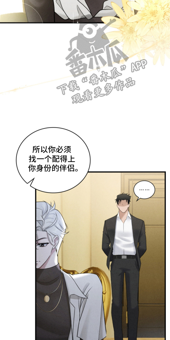 风险回报比公式漫画,第2章：催婚3图