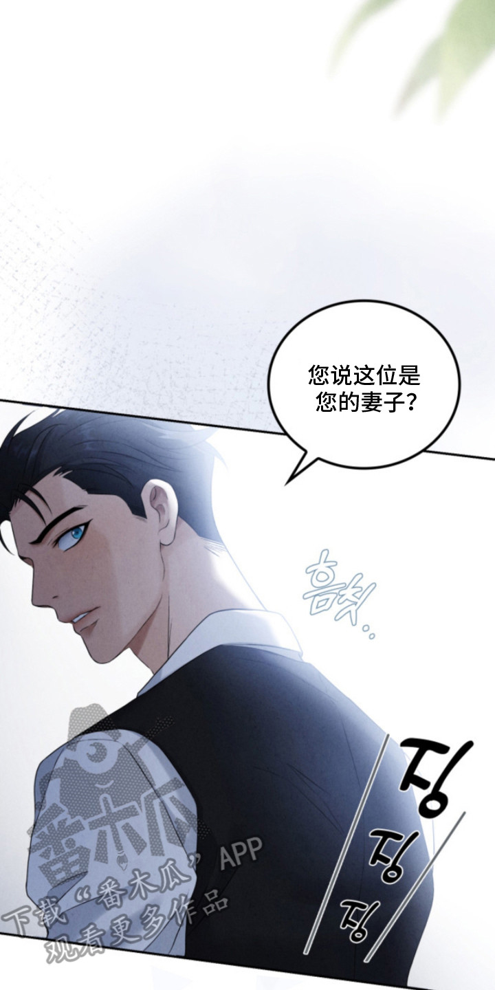 风险回报漫画,第12章：亲生母亲3图