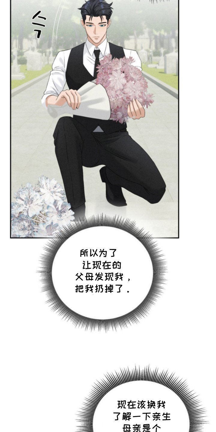 风险回报漫画,第12章：亲生母亲5图