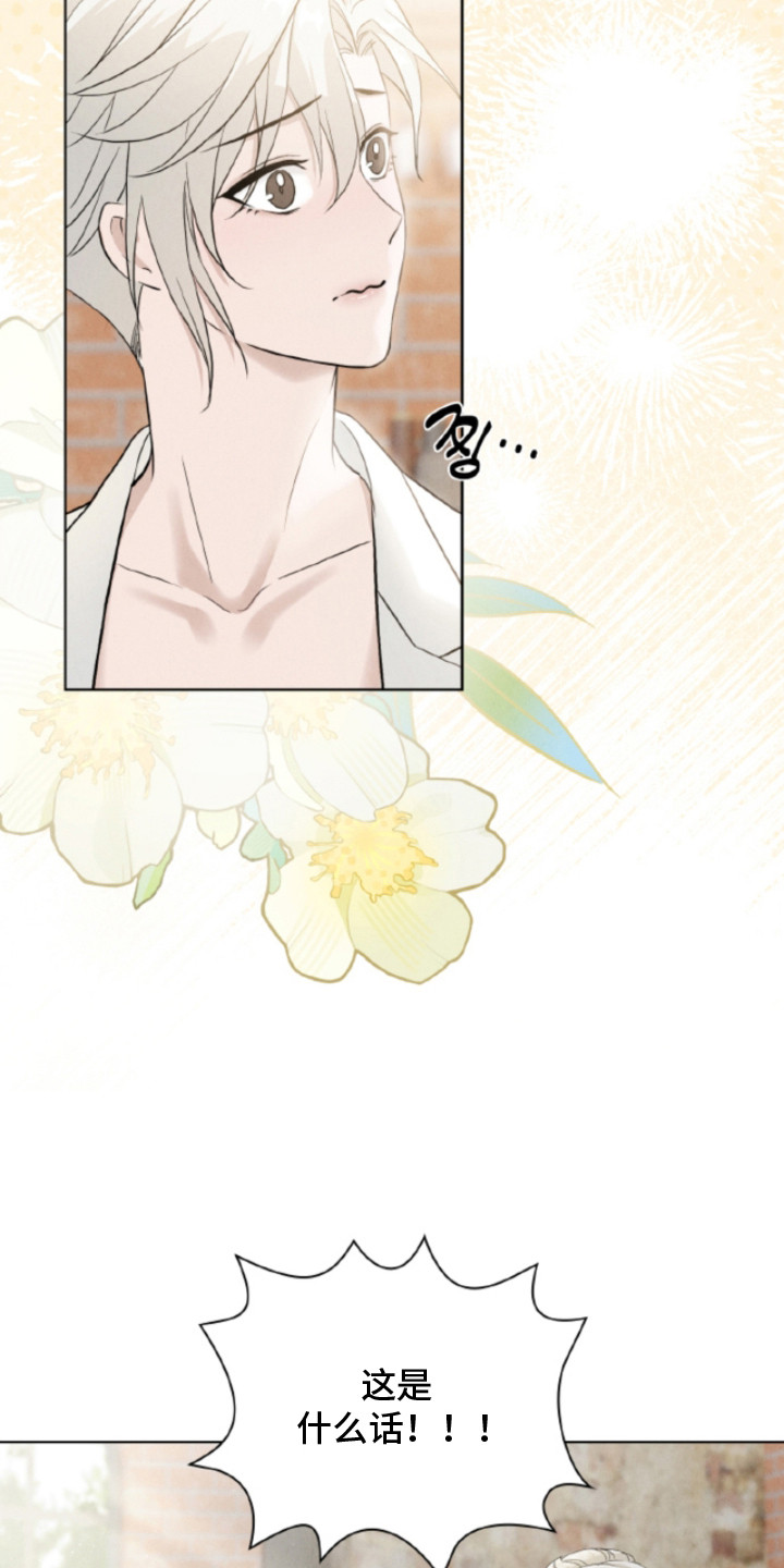 风险回报漫画,第17章：摊牌2图