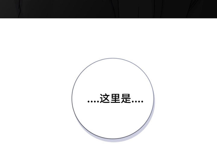 欧文大心脏漫画,第71章：手帕2图