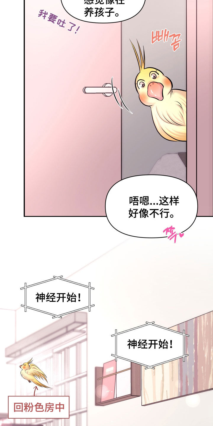 瑕疵品改造计划漫画,第51章：只说好听的话（完结）4图
