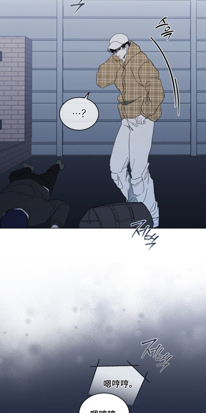 物种起源达尔文漫画,第45章：有人跟踪1图