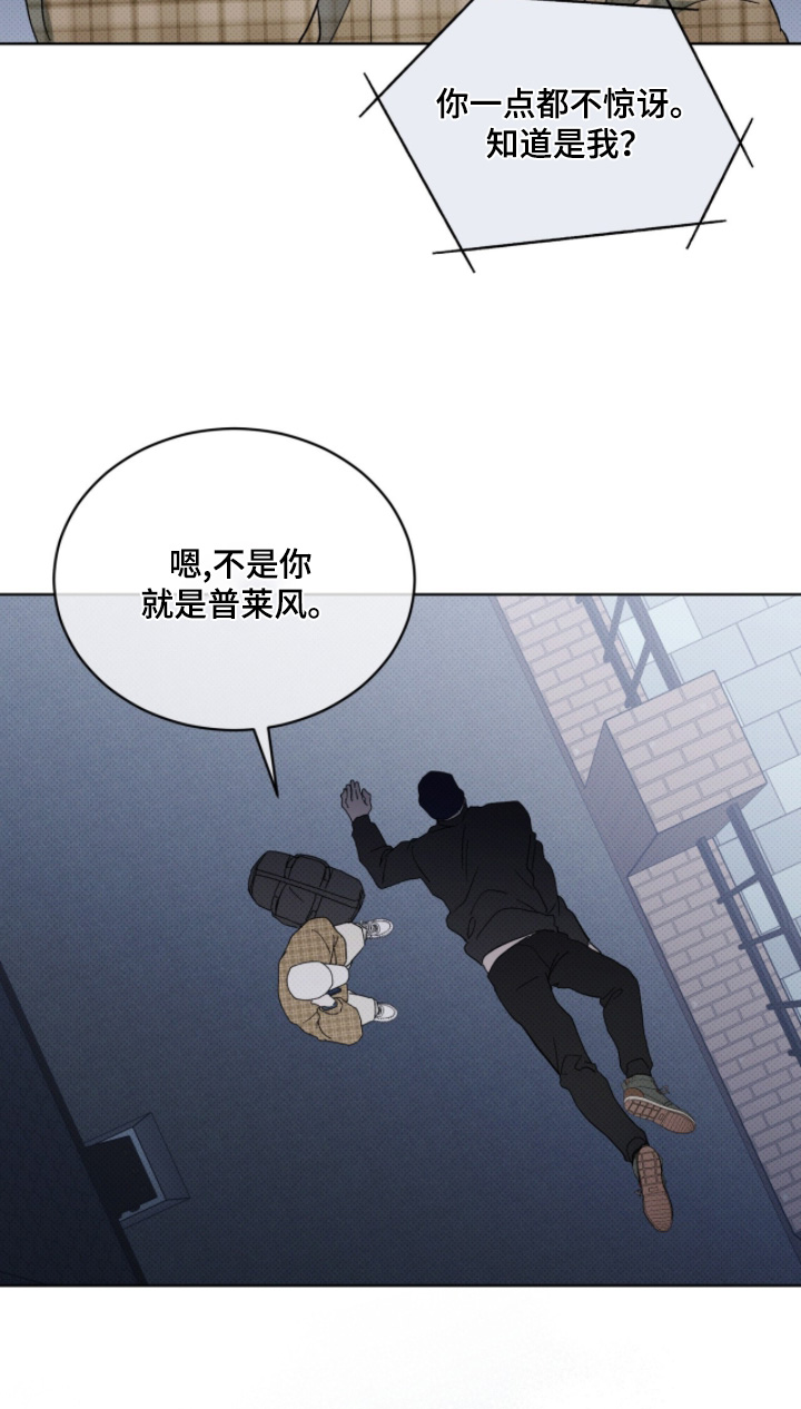 物种起源达尔文漫画,第45章：有人跟踪4图