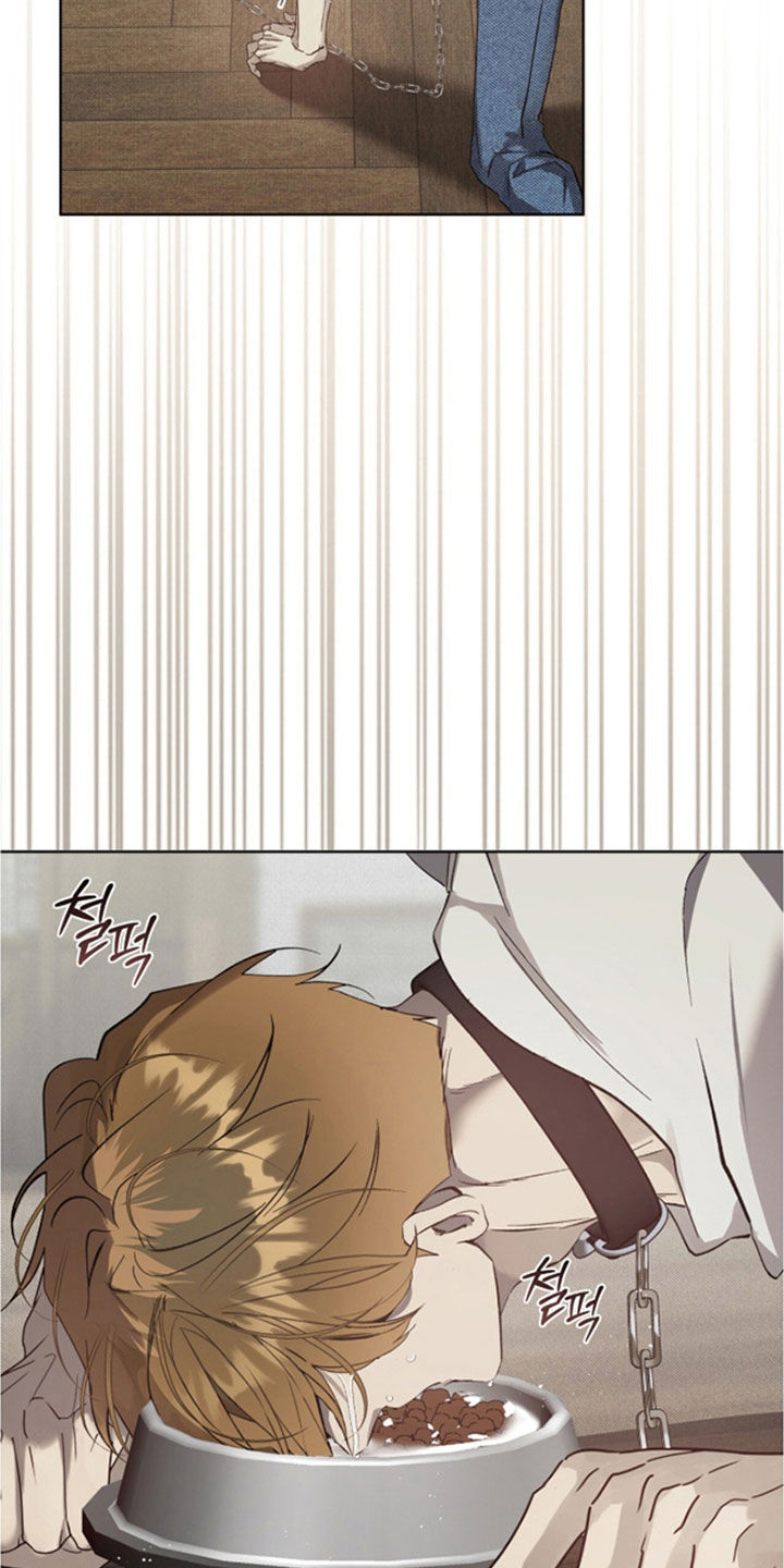 流放小厨娘心声日常在线阅读漫画,第79章：【第二季】你不会无聊1图