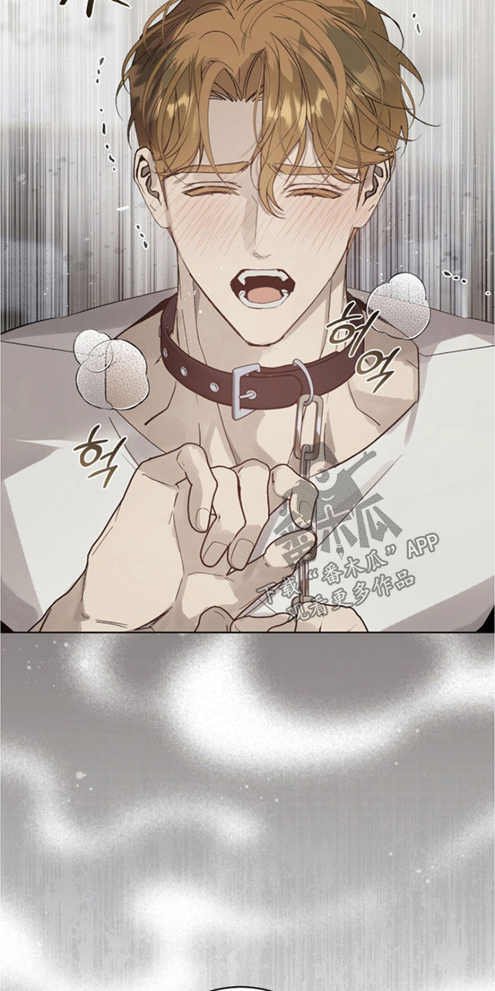 流放小厨娘心声日常在线阅读漫画,第79章：【第二季】你不会无聊1图