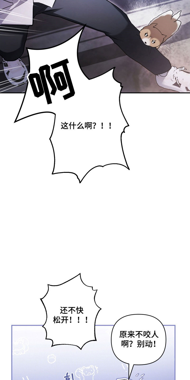 绝对复仇角色介绍漫画,第43章：学习生活1图