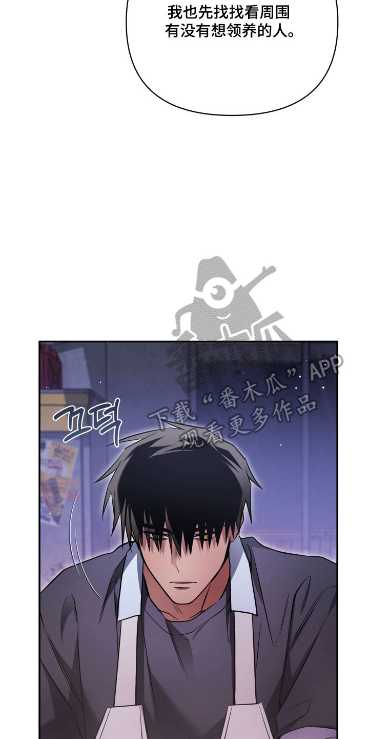 绝对复仇下载漫画,第43章：学习生活4图