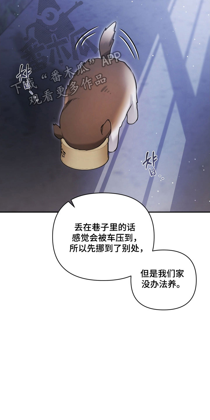 绝对复仇免费观看漫画,第43章：学习生活4图